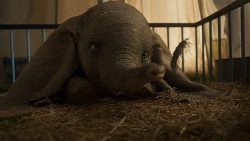 Dumbo e sua foto de pena mágica nesta lista de filmes da Disney que serão lançados em 2019