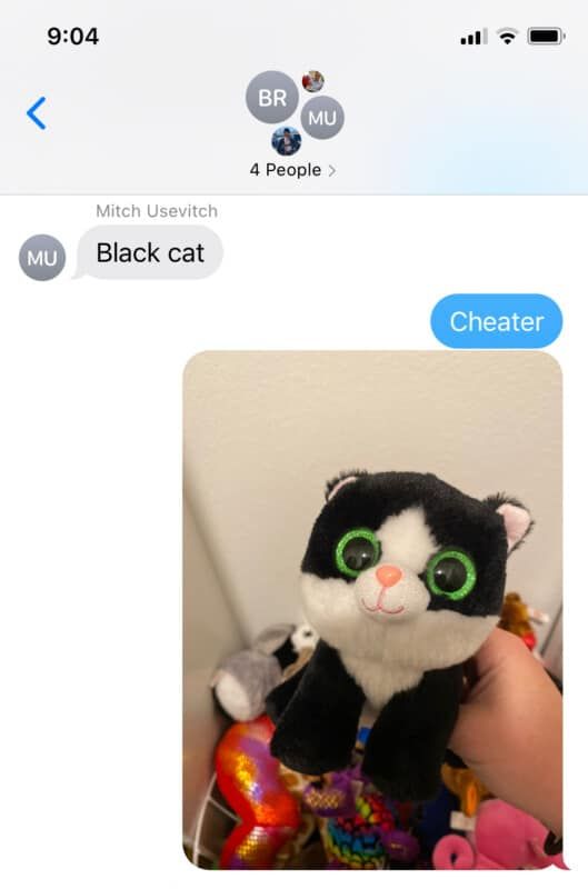En fotoskärmdump med en bild av en uppstoppad svart katt