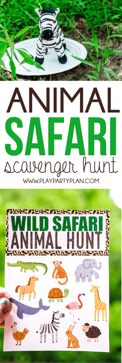 Tento lov na zvířecí safari je ideální pro večírek na safari na zvířatech nebo oslavu narozenin! Ideální pro děti předškolního věku, které milují zvířata! Určitě zkouším tyto zábavné nápady na lov mrchožroutů pro děti na příští párty mého syna!