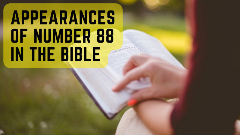   Una persona leyendo una Biblia con palabras Apariciones del número 88 en la Biblia