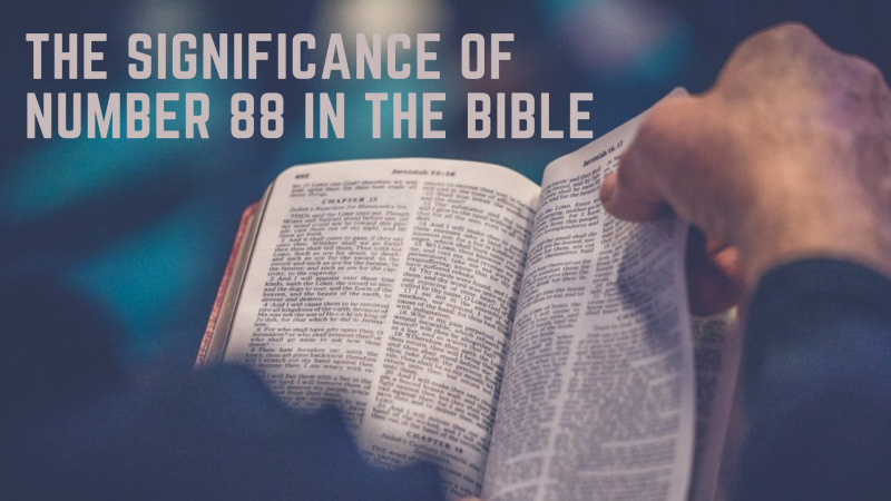   Una persona leyendo una Biblia con palabras El significado del número 88 en la Biblia