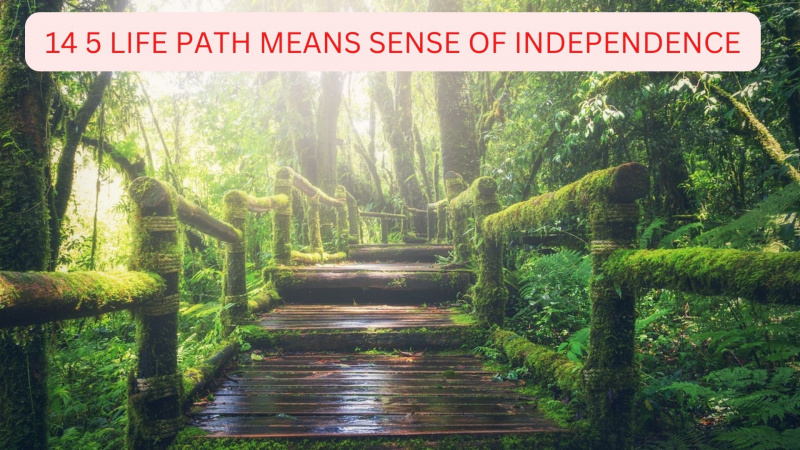   14 5 Life Path significa sentido de independencia