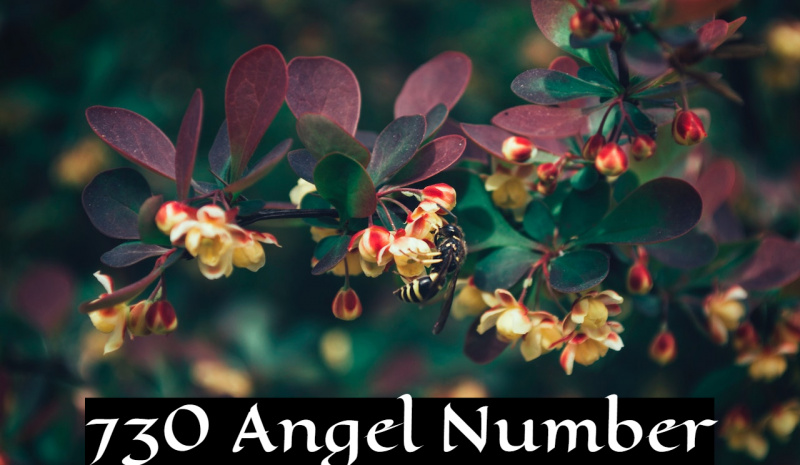 730 Angelo numeris simbolizuoja emocinį nesuderinamą romantiką