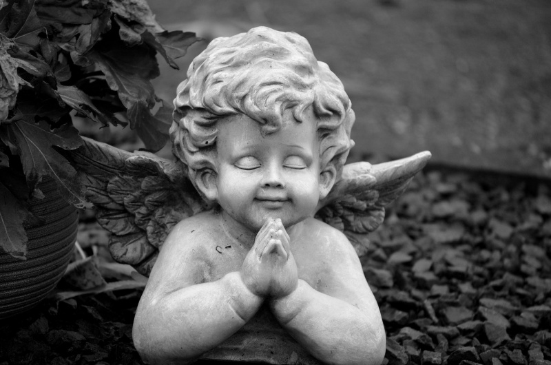   Ángel estatua orando