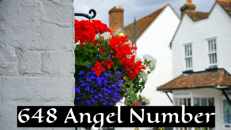 El número de ángel 648 indica abundancia y riqueza