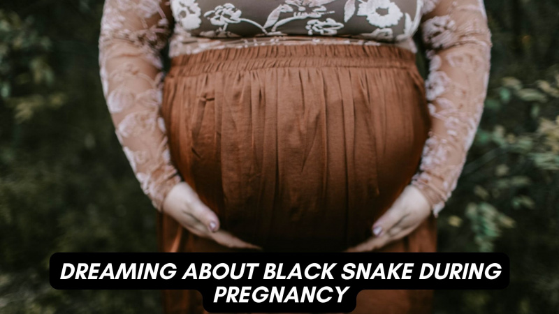 Drømmer om sort slange under graviditeten - det indebærer ankomsten af ​​et barn