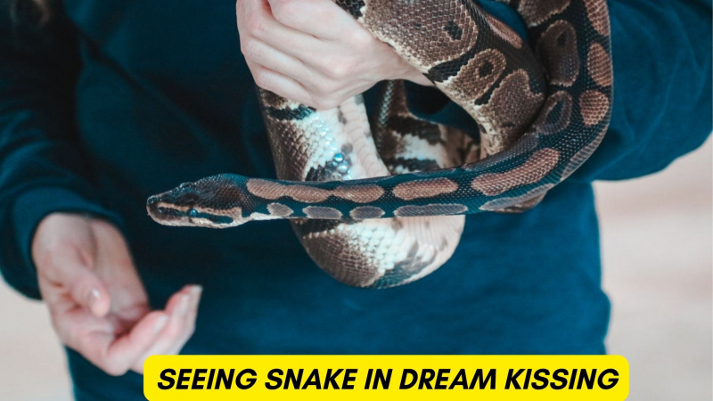 키스하는 꿈에서 뱀을 보는 것은 충성과 충실을 상징합니다.