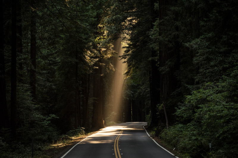   Silnice prochází lesem, zatímco sluneční světlo vstupuje mezi stromy