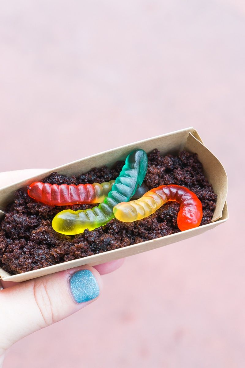 Postre Dirt and Worms en Mickey