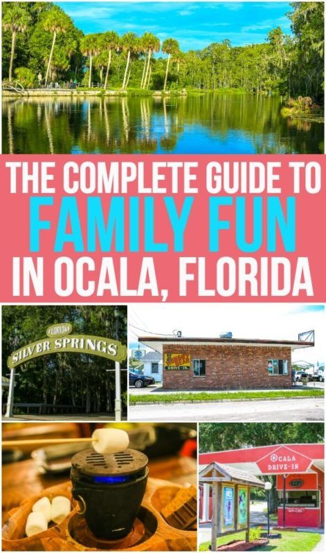 Ocala Florida의 가족 놀이를위한 완벽한 48 시간 가이드