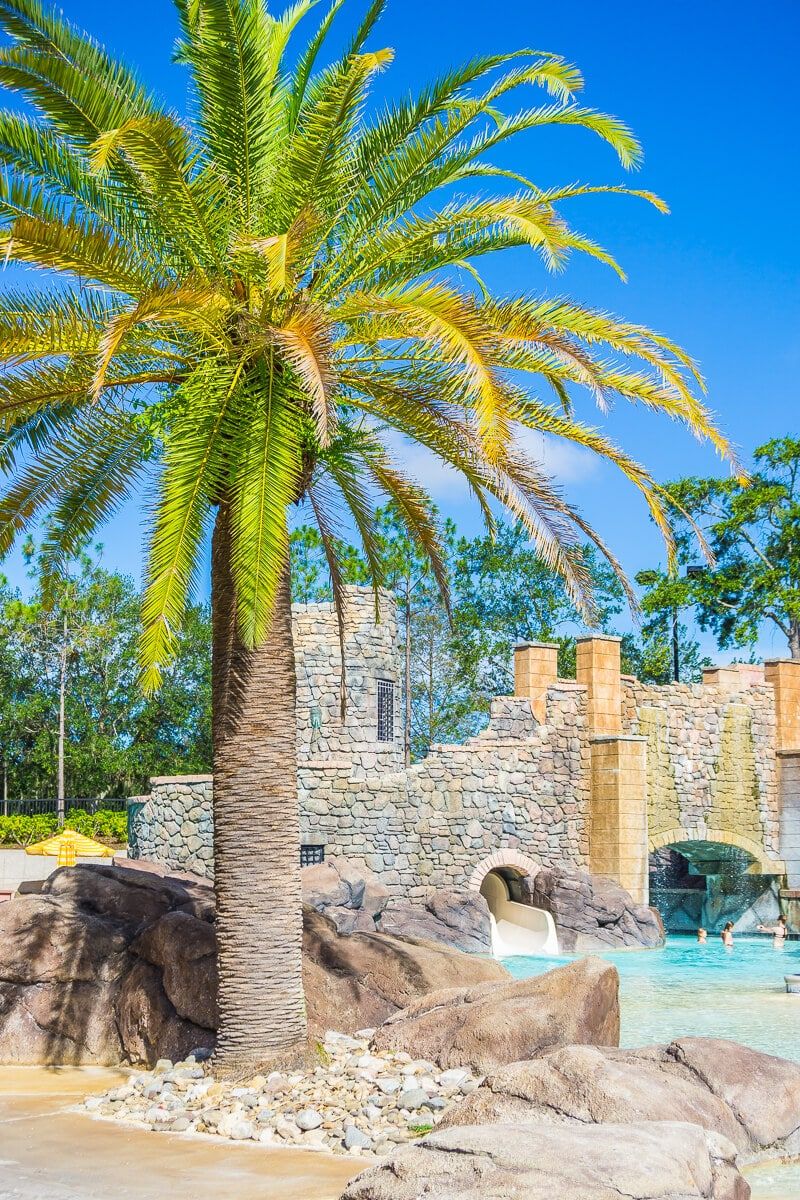 Les boniques palmeres voregen les piscines del Loews Portofino Bay Hotel