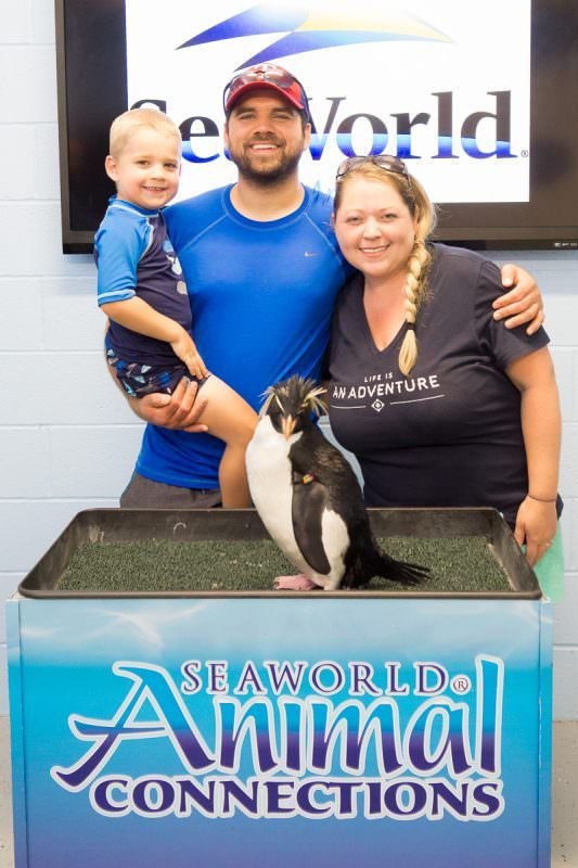 „SeaWorld San Antonio“ turi daugybę sąveikų su gyvūnais