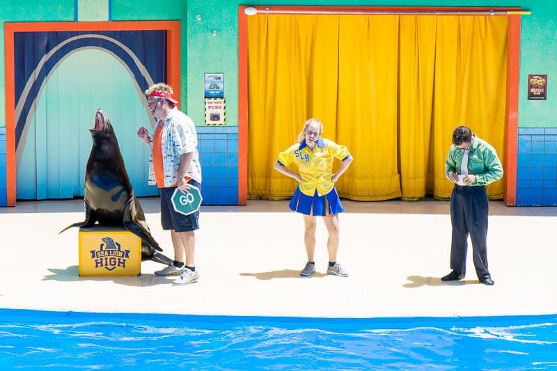 Sea Lion High je zábavná show SeaWorld v San Antoniu v Texasu