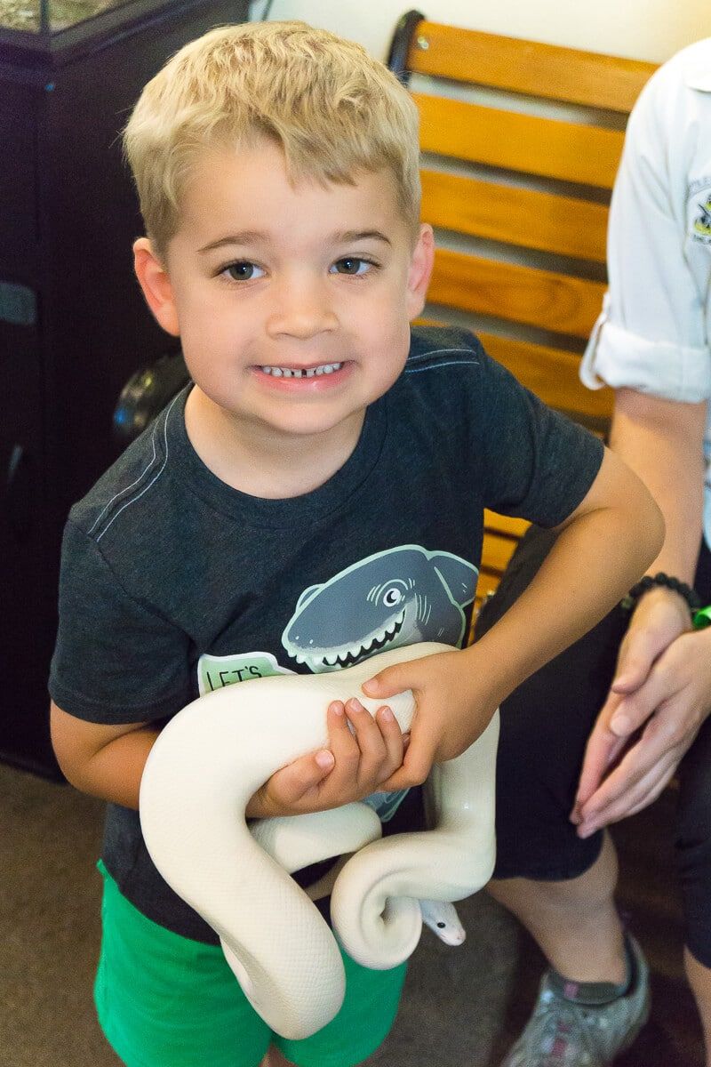 Дръжте змия и вижте отрова, извлечена в Reptile Discovery Center - една от най-добрите атракции в Дейтона Бийч
