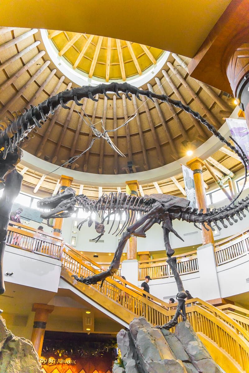 El centre Jurassic Park Discovery és un lloc ideal per refrescar-se