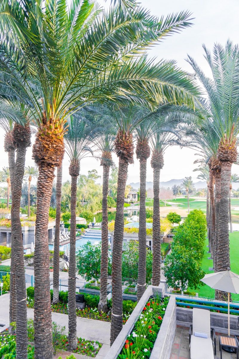 La vista desde la habitación de uno de los mejores resorts para familias en Phoenix