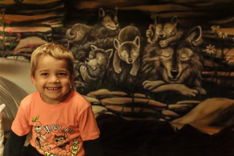 Lastele meeldivad Great Wolf Lodge Grapevine temaatilised sviidid